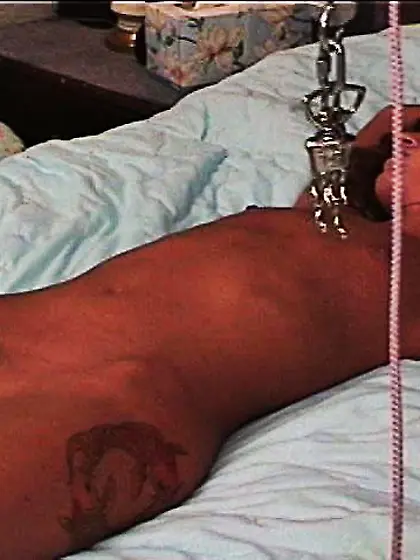 Wild scenes demonstrate amazing