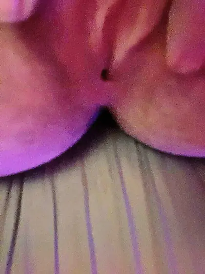 Exposed amateur teen pink pussy alt