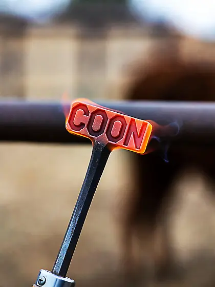 Let's goo boy's some coon brandig get lazo rea