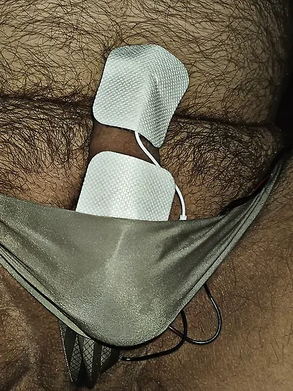 E-stimulator on Cock