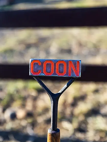 Let's goo boy's some coon brandig get lazo rea