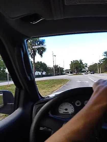 I was driving down the street when I spotted Ashley.  I could see