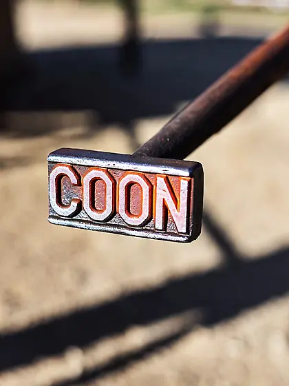 Let's goo boy's some coon brandig get lazo rea