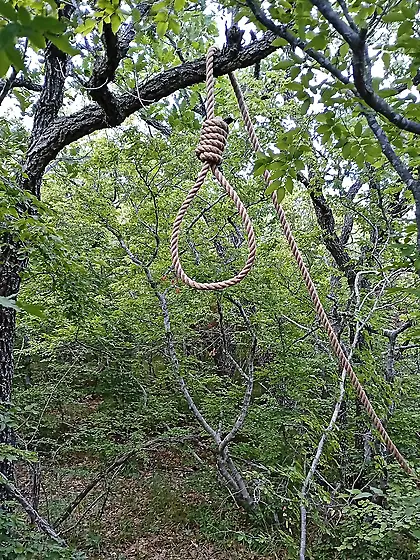 Повешения в Краснодаре during