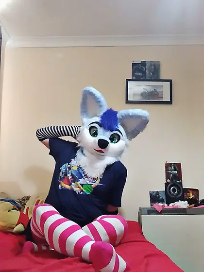 Hi! Cum or piss all over me as much you like :3