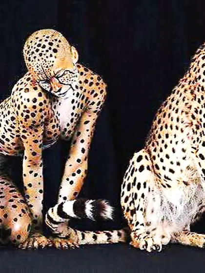 Some Fetish Desire Drawings