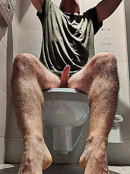 Andy Gymnast toilet rest stop lust 43