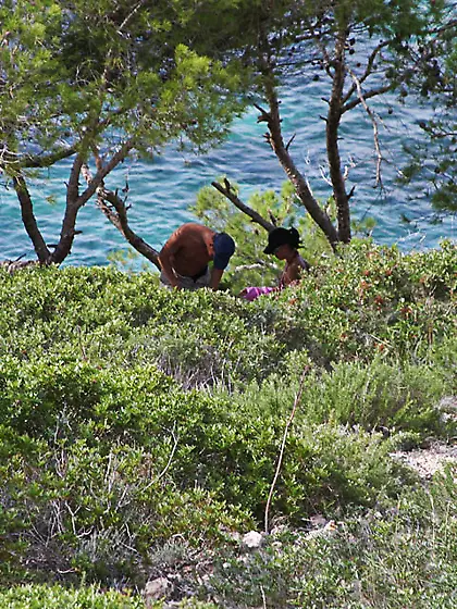 Real amateur couples enjoying