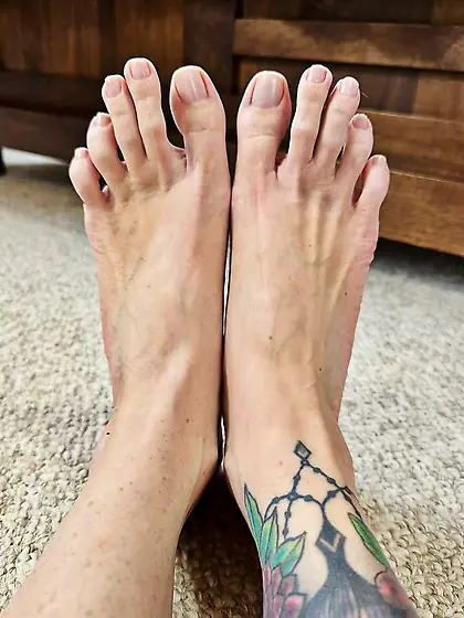 Worship Your Superiors Beta