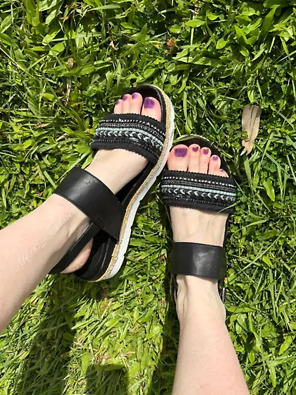 Worship Your Superiors Beta