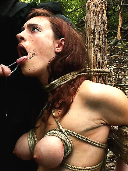 Carcosa is in the heart of the forest