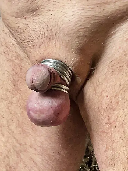 Ringed Micro Dick