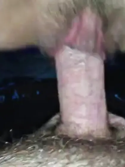 Crackwhores bareback