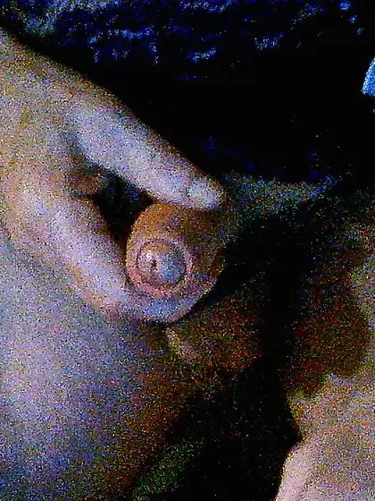 Sissy Sarah, new lingerie, masturbates