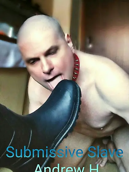 dirty bootlicker Andrew worships alpha males
