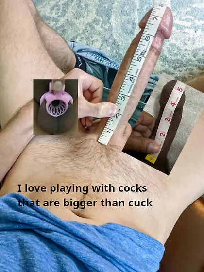 My cuckold husband compared against my bulls