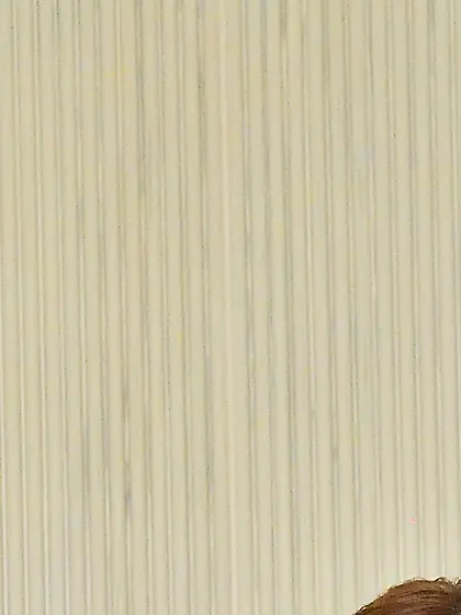 Ballerina Jessy Pony