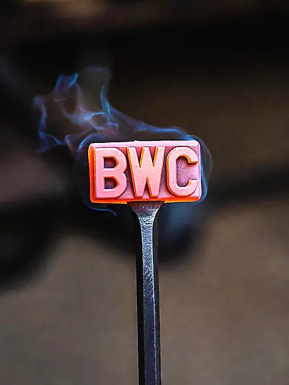 Brand some wild caught niggers to domesticate them