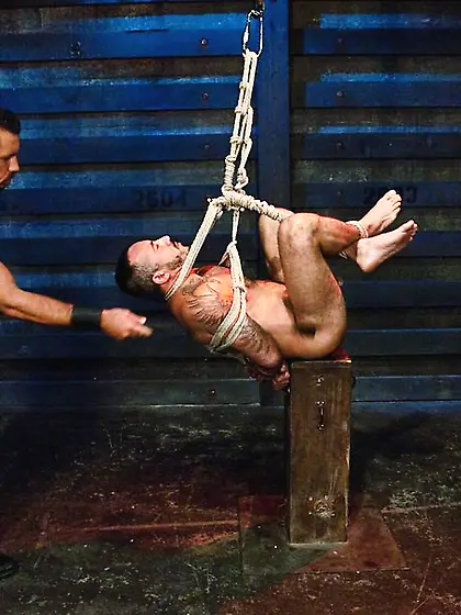 Bear gods ready rough