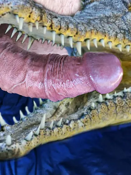 penectomy fantasy my cock