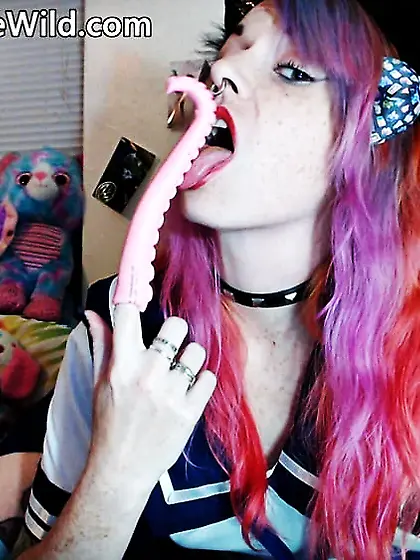 Foxy School Girl Kitten