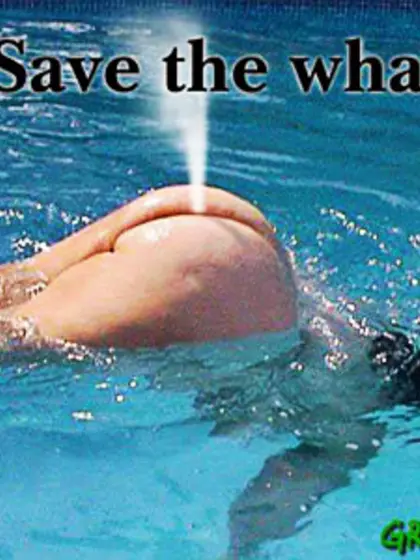 Fun Fear and Females 13