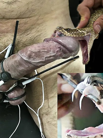 penectomy fantasy my cock