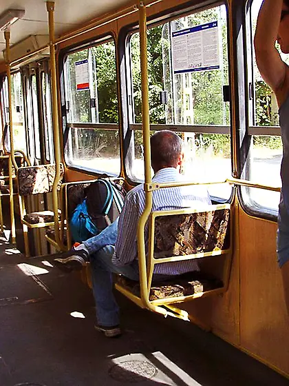 theSandfly Flash That Cat!