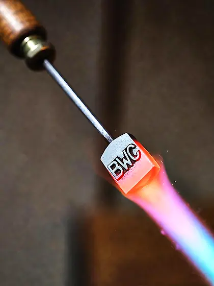 Brand some wild caught niggers to domesticate them