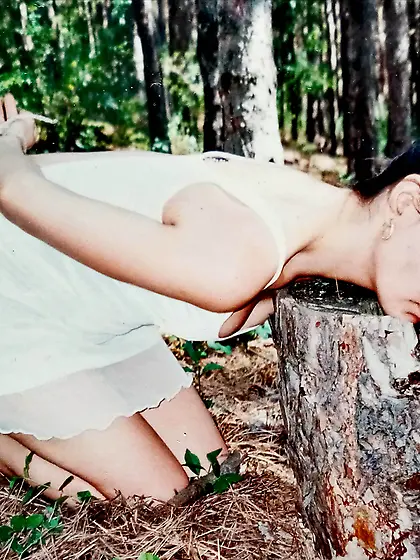 Pine forest 6 The end