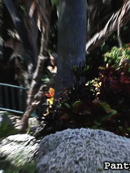 Juicy clit brunette showing her booty in...