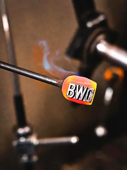 Brand some wild caught niggers to domesticate them