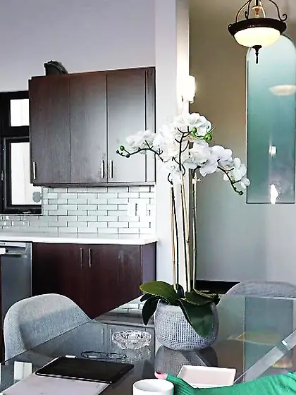 Hot lezzies pleased scissoring