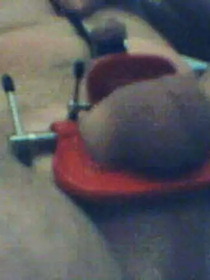 tiny dick torture homework