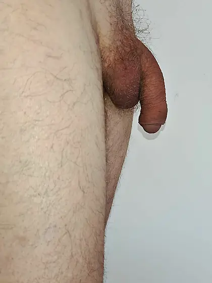 Art on White Background