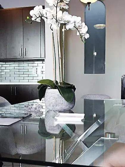 Young Asian babe seduced and dicked by horny...