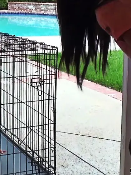 Blonde bitch cage caned