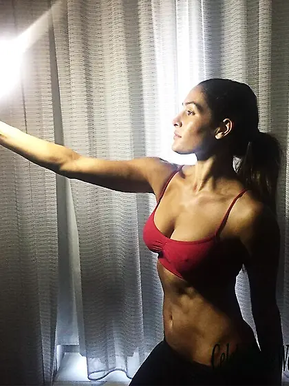 Pokies Photo of Nikki Bella