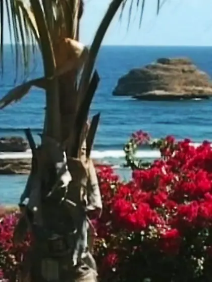 Hungarian amateur fuck