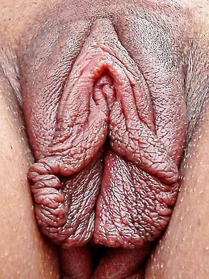 big pussy lips