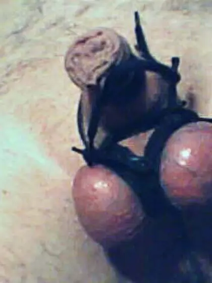 tiny dick torture homework