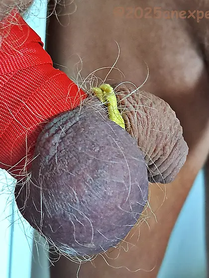 bondage on c+b with 1cm wide plastic band - 3D3B1