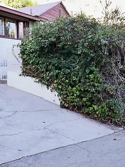 Slim long-haired blondie enjoys