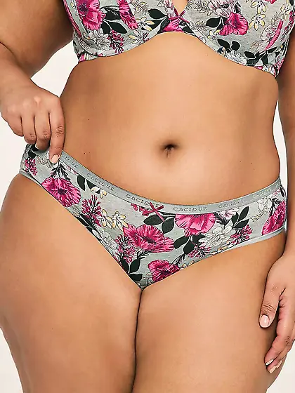 Lane Bryant--more sexy panties