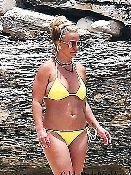 Britney Spears Bikini