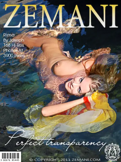 Enticing floozy sheer printed