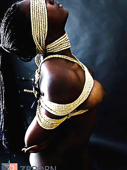 Satisfy TORMENTOR use my ebony figure