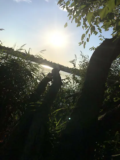 Feeling cute might get fucked later