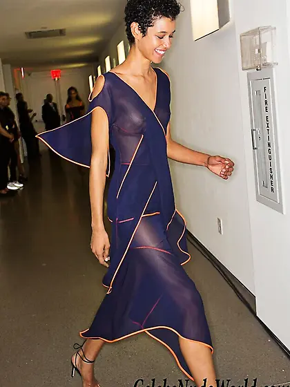 Janiece Dilone See Through Photos