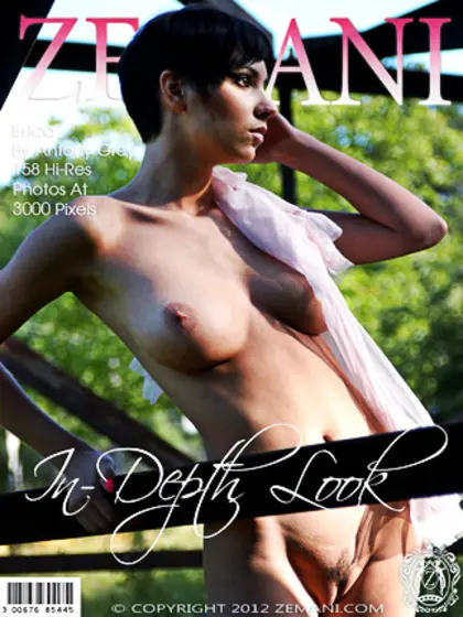 Sumptuous dish sheer nightgown